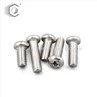 DIN85 Soltted Machine Screw